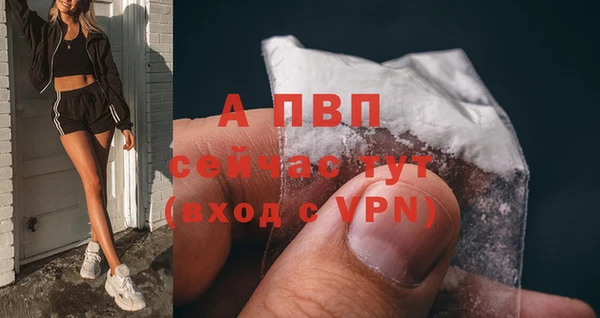ALPHA-PVP Белокуриха