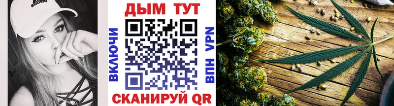 Купить где  Конаково  Каннабис конопля 
